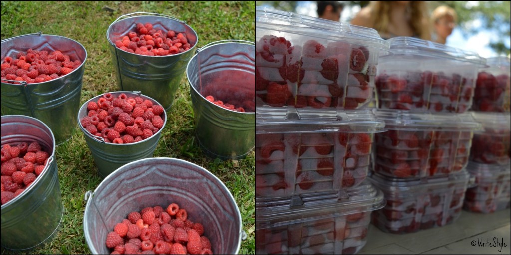 Just Darling - Berry Picking