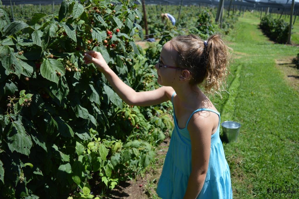 Just Darling - Berry Picking